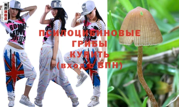 круглые Магас