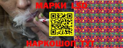амф Гатчина