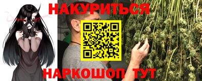 амф Гатчина
