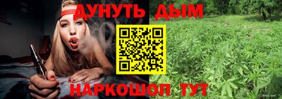 амф Гатчина