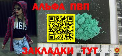 амф Гатчина