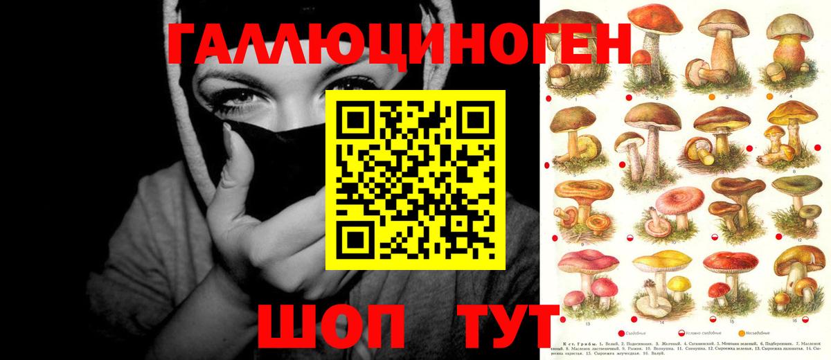 Галлюциногенные грибы Magic Shrooms  Галлюциногенные грибы Psilocybe  Вход с VPN  Саранск 
