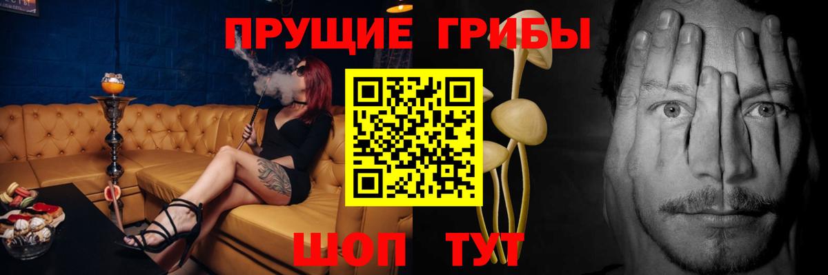 Галлюциногенные грибы ЛСД Саранск